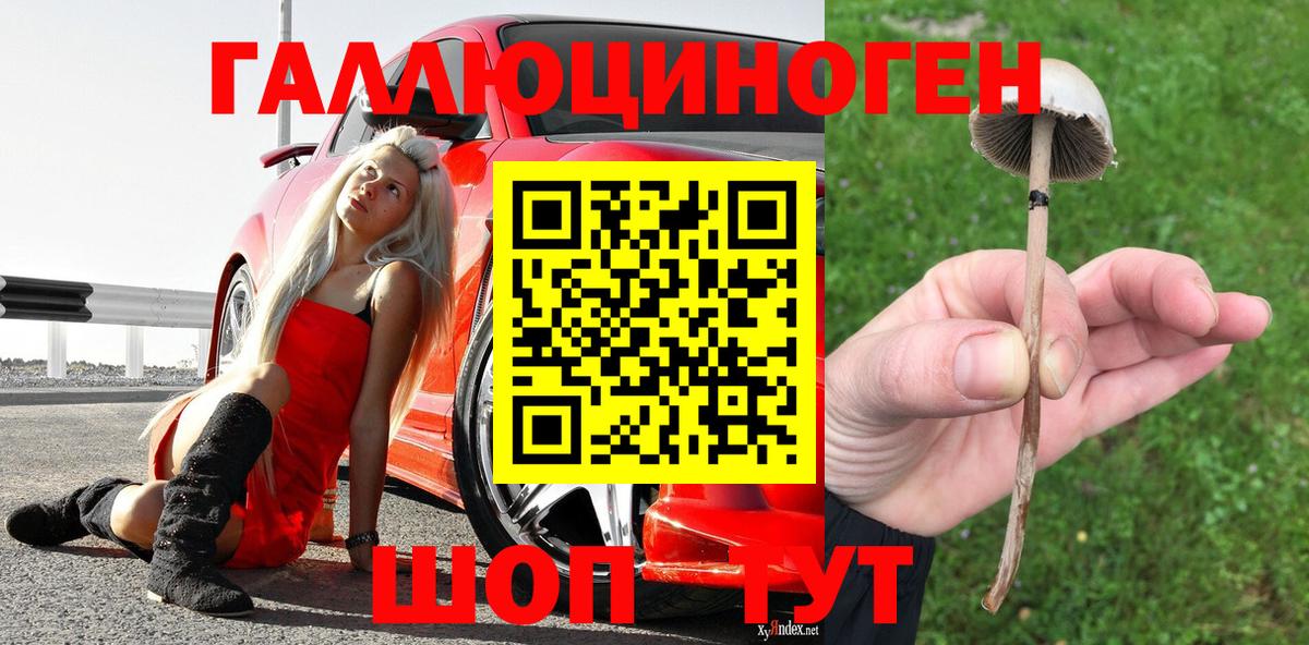 Псилоцибиновые грибы MAGIC MUSHROOMS Нурлат